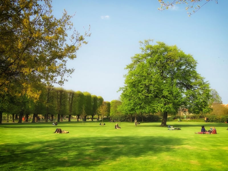 Public Parks Initiatives